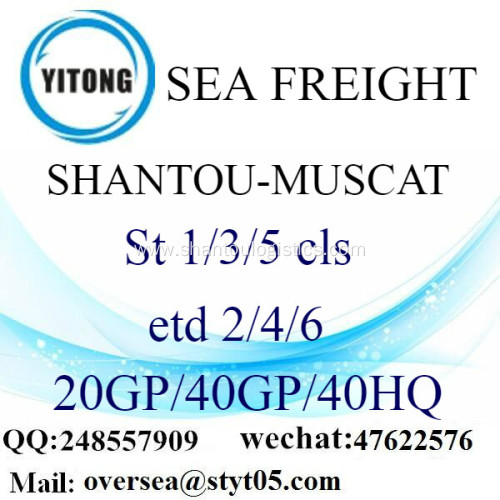 Shantou Port Sea Freight Shipping To Muscat